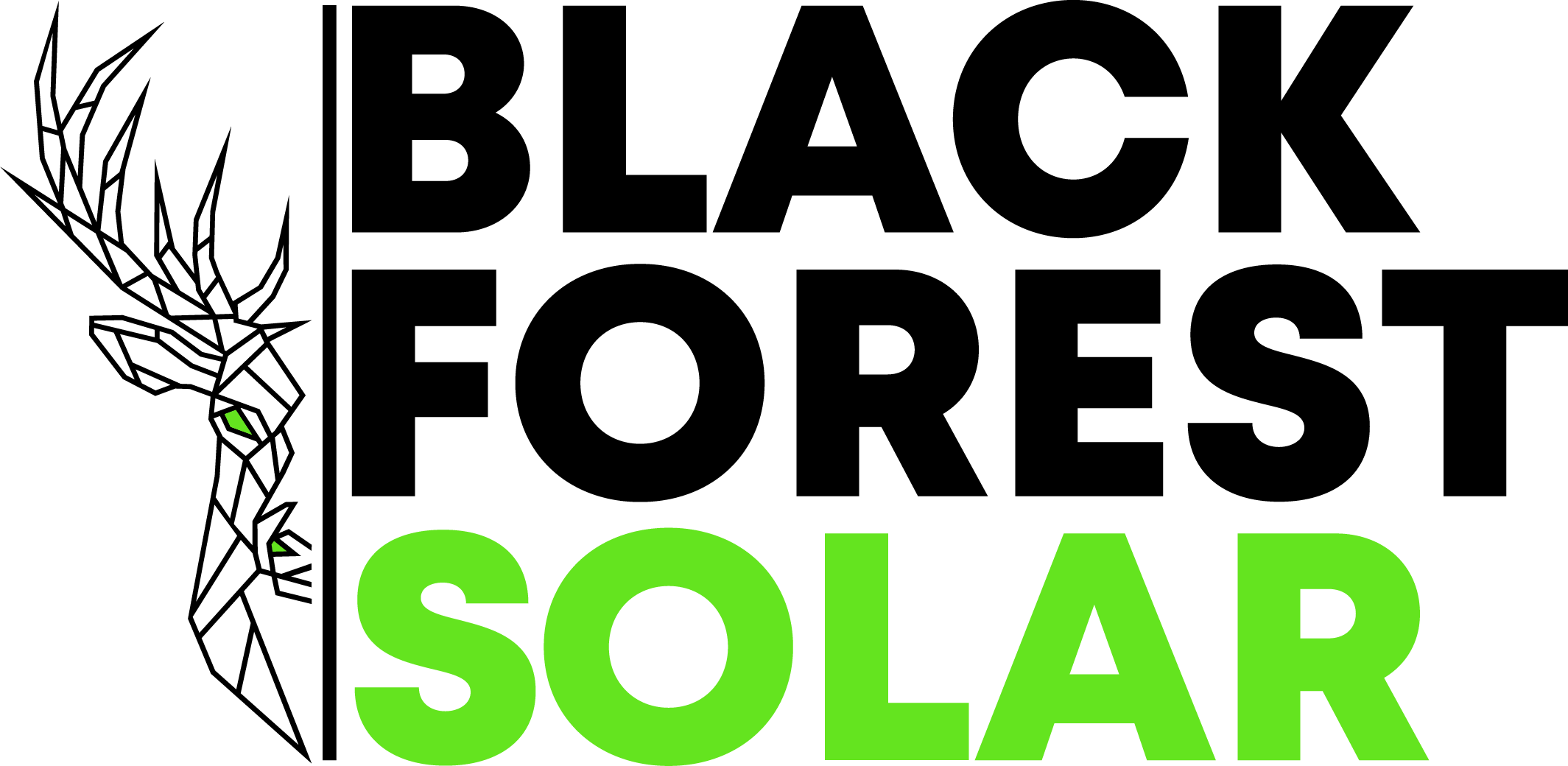 Black Forest Solar Calw, Photovoltaik & Stromspeicher